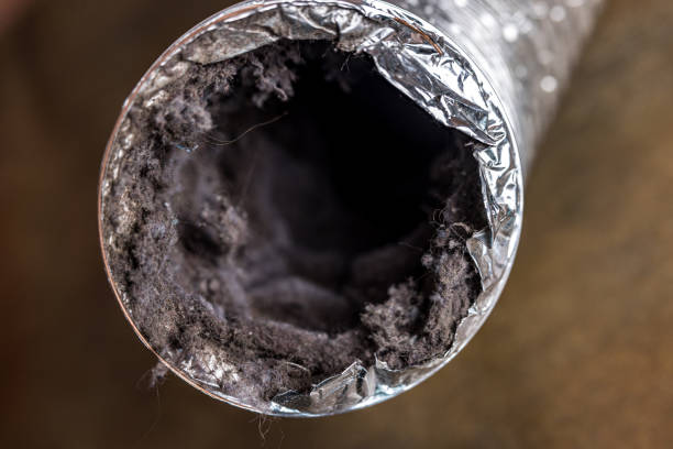 Best Air Duct Cleaning Near Me  in Cutler, CA
